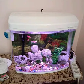 Akwariyum 40 litr ak zawodskoy