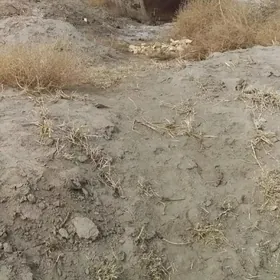 mellek (daça,  дача)