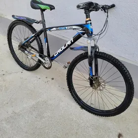 tıgır krolan 26 lyk