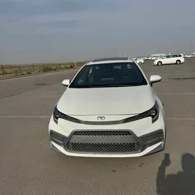 Toyota Corolla 2020