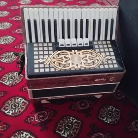 akordion
