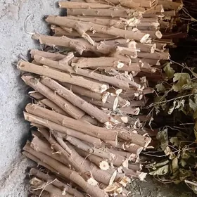 Tut agjyndan odunlar