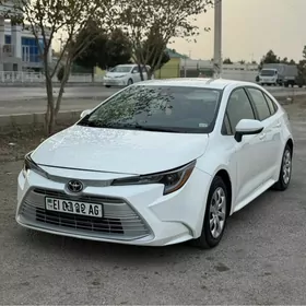 Toyota Corolla 2021