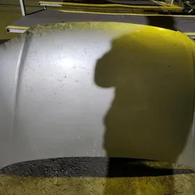 ady kappt siyena 200 y