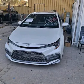 Toyota Corolla 2020
