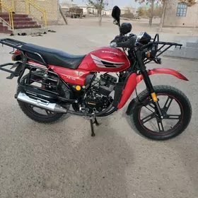 Fekon FK200-14G 2024