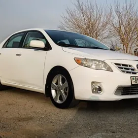 Toyota Corolla 2011