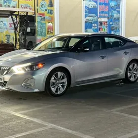 Nissan Maxima 2019