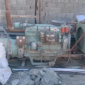 Tok öndurji diwijok