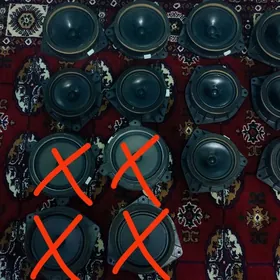 gapa goyulyan kalonkalar