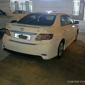 Haliji carolla corolla karolla