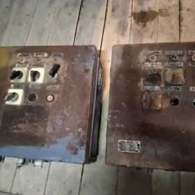 тогын щитьлери