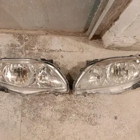 corolla korolla fara