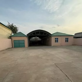 Çoganly plan 11 sotok