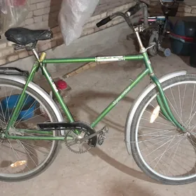 Velik süper Aist Arginalypaket