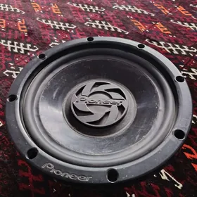 Pioneer BockaPioneer Bocka