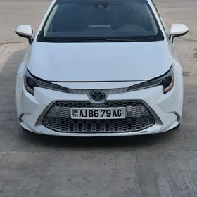 Toyota Corolla 2020