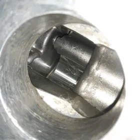 Cat greydir glawny ensha