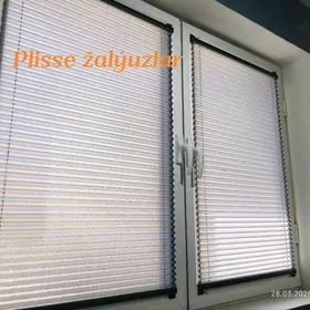 Jalýuz žalýuz jalyuz zalyuz