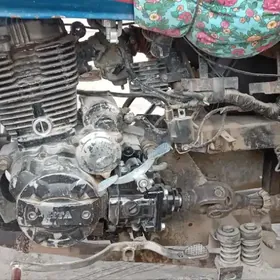 Fekon FK200-14G 2022