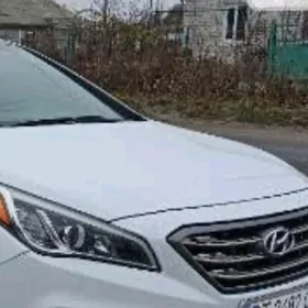 Sanata 2017 y tokga mator