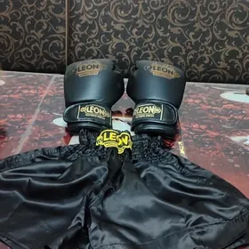 Боксёрские перчатки