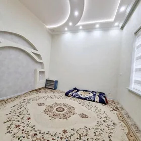 satlyk howly 16sotok