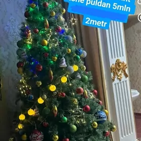 Taze ýyl arçasy Ýolka