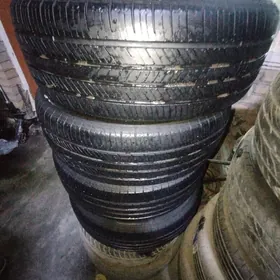 2001 avlon diska tigr