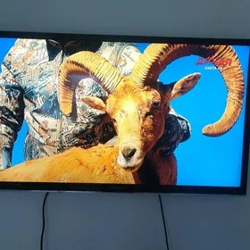 50 HISENSE telewizor телевизор