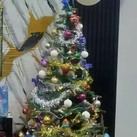 Ёлка, Yolka , Ýolka