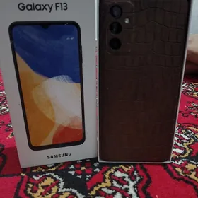 F13
