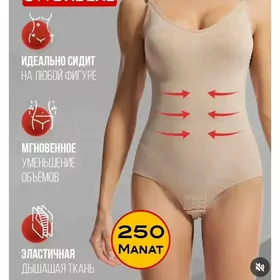 endamy cekdiryan body