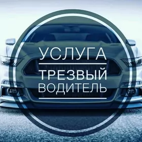 трезвый водитель