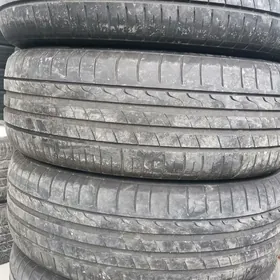 215 55 17  4 sany ýyly 2023