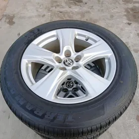 Haýlandyr disge pakrysga 18