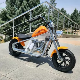 TIGIR MATOR ROLIK MASYN PARTA