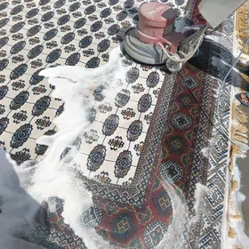 HALY HYZMATY MOYKA HIMÇISTKA  МОЙКА КОВРОВ