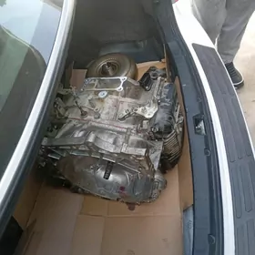 karopga 2019 kemirden ayrlan