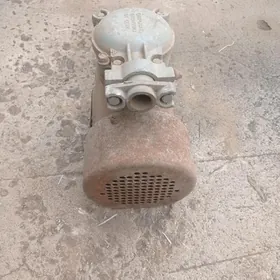 dwegitil turba kuluc