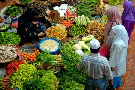 Alymlar adamzat üçin saglyk we ekologiýa maksatly "planetar derejede berhiz" teklip etdiler