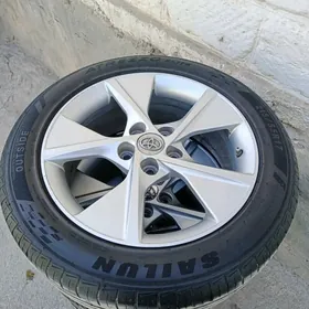 17 palta disga pakrysga