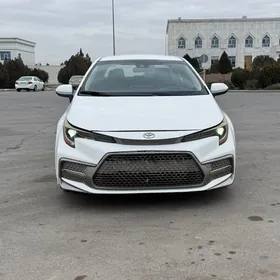 Toyota Corolla 2020