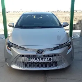 Toyota Corolla 2021