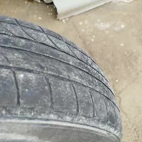 14-lik pakriska kamyr