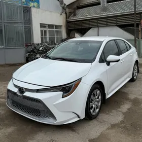 Toyota Corolla 2024