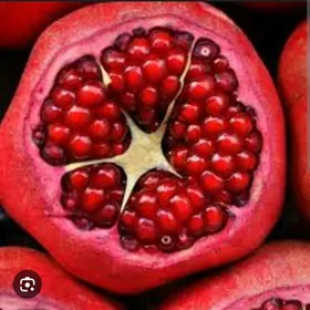 NAR CIGITSIZ HICAZ TURK NAHAL