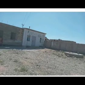 duzmergen nebitji 43