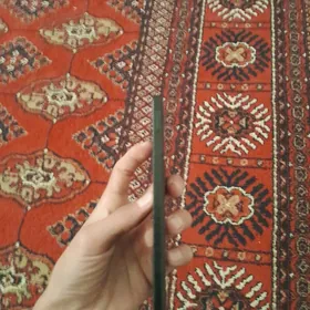 resmi 13 s 8 pamidi ramy 256