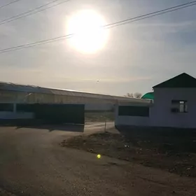 onumcilik ucin gurylan desga